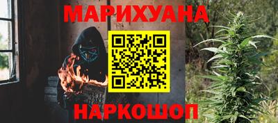 прущие грибы Ачхой-Мартан