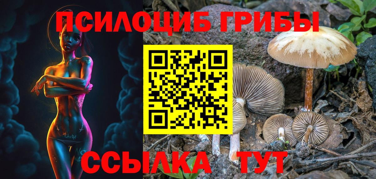 Псилоцибиновые грибы мицелий Кинель