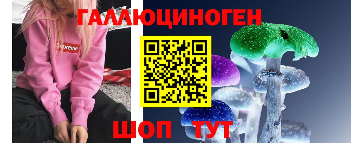 Кинель  Псилоцибиновые грибы MAGIC MUSHROOMS  Вход с VPN  Галлюциногенные грибы ЛСД 